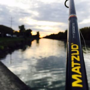 Meet your Posher, Jackson